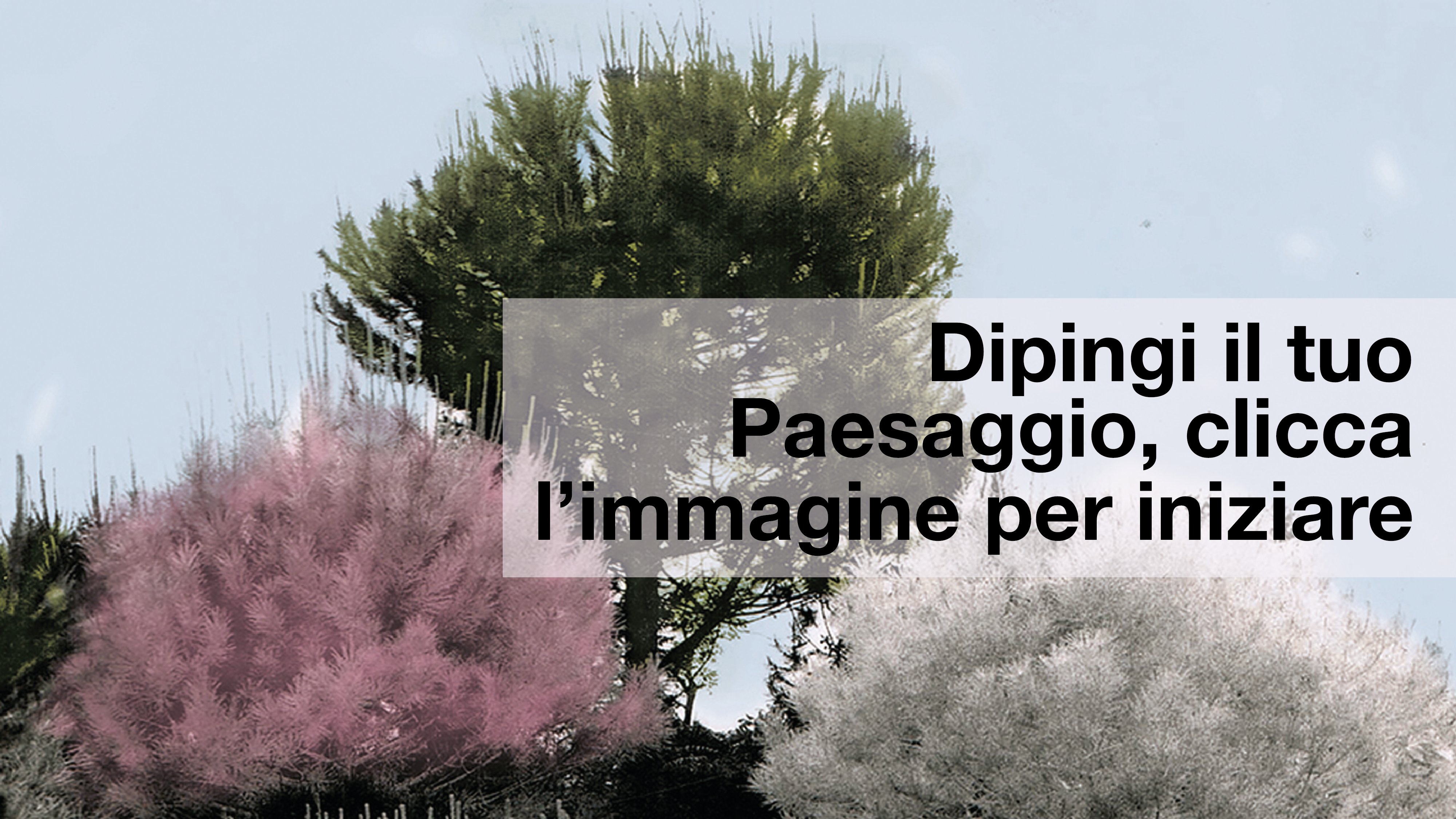 prova sito con scritte